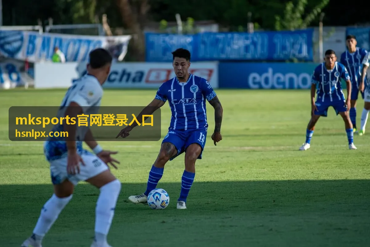 mksports官网登录入口功能与登录说明配图