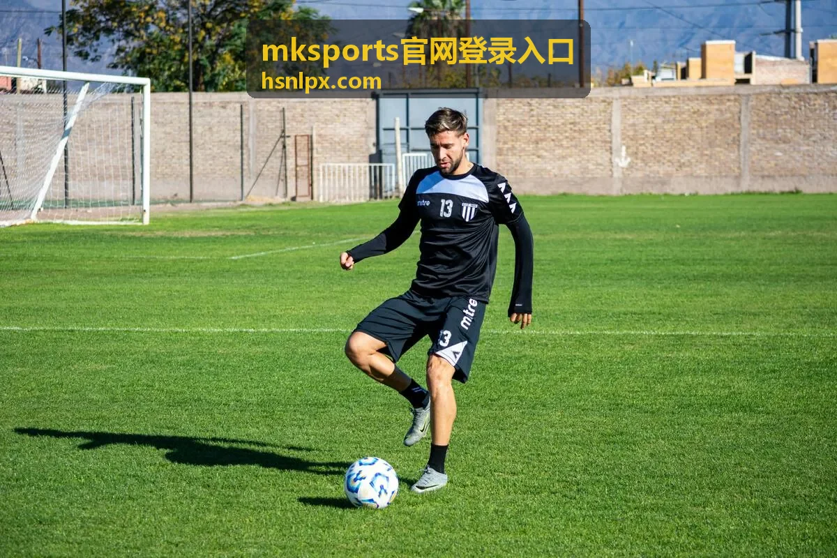 mksports官网登录入口地址核对方法配图